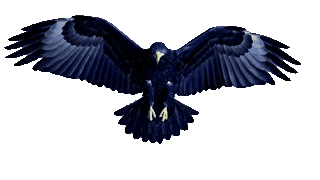Águila SEVIAD
